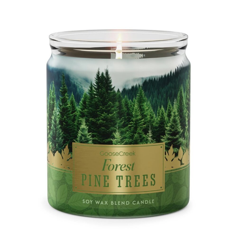GOOSE CREEK Forest Pine Trees Candle NWT